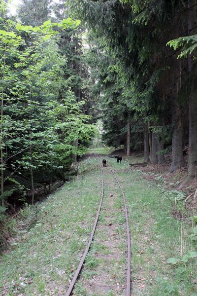 Sobota - cestou po kolejích na Hřebeč